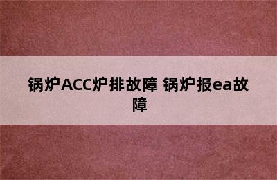 锅炉ACC炉排故障 锅炉报ea故障